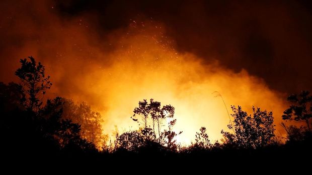 Trees and peatland are pictured during a fire in Palangka Raya, Central Kalimantan province, Indonesia, September 17, 2019. REUTERS/Willy Kurniawan