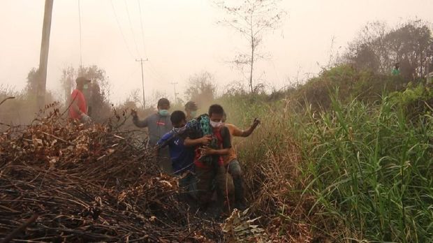 Dievakuasi dari Karhutla, 2 Orang Utan Diberi Nama 'Bara' dan 'Arang'