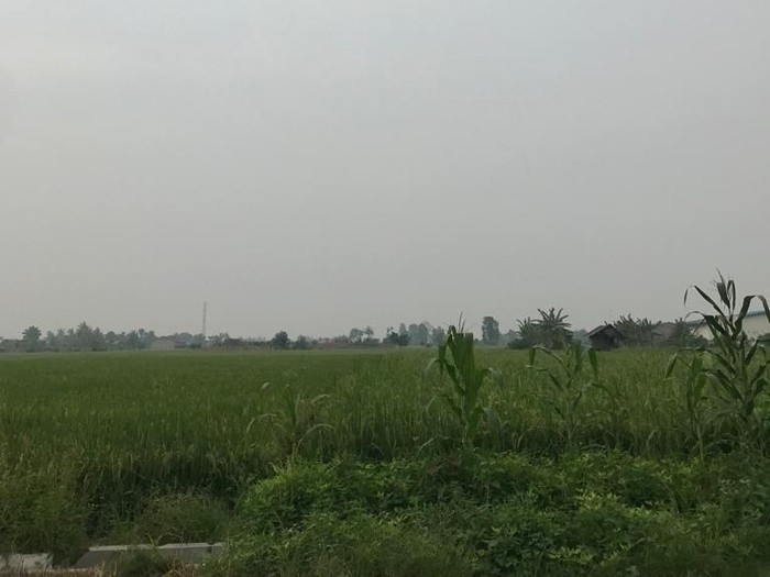 Karhulta Landa Sumsel-Riau, Kabut Asap Muncul di Deli Serdang