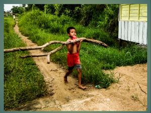Samson kecil.
