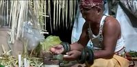 Mengenal Nondoi, Tradisi Adat Berbalut Mistis di Ibu Kota Baru