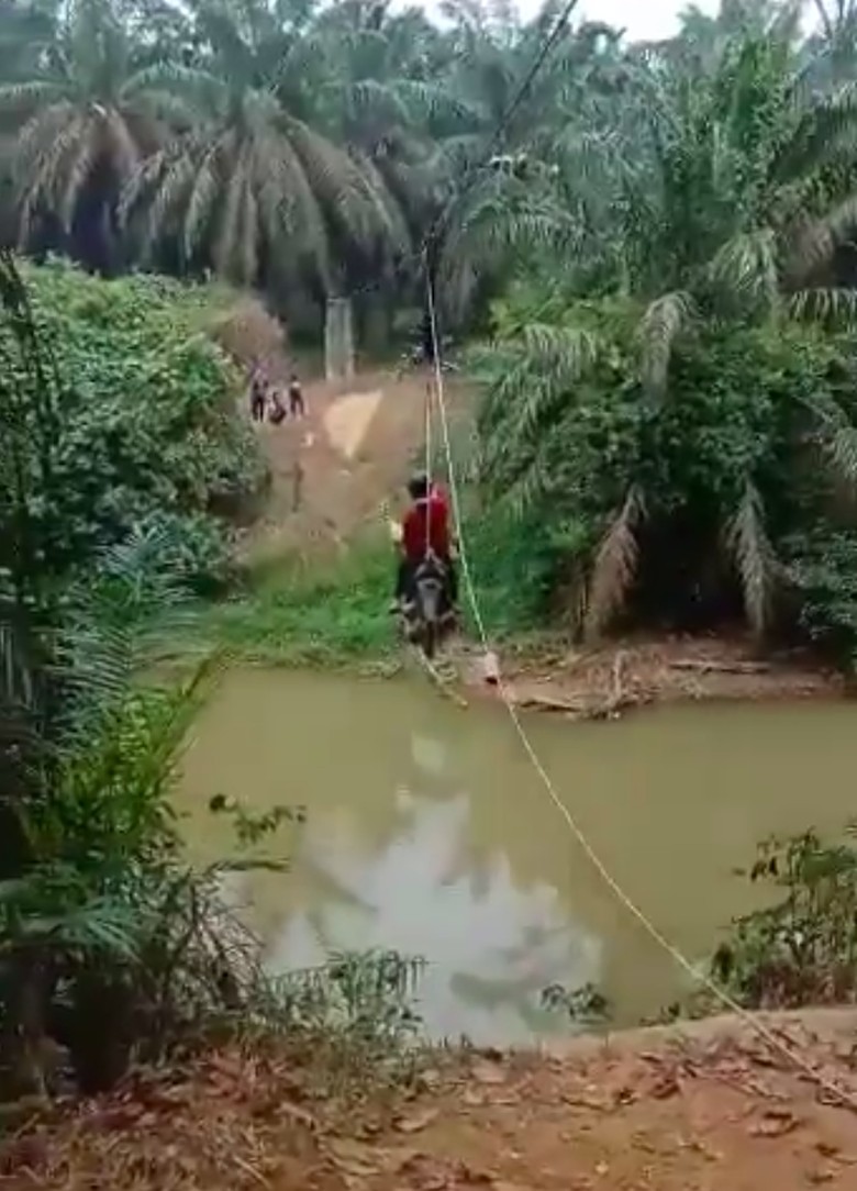 Warga Rohul Riau Flying Fox Motor, Apakah Tak Ada Jembatan? Warga Rohul Riau Flying Fox Motor, Apakah Tak Ada Jembatan?