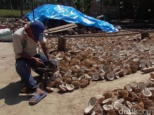 Kisah Inspiratif Pria Tunanetra di Polman yang Jadi Pengupas Buah Kelapa