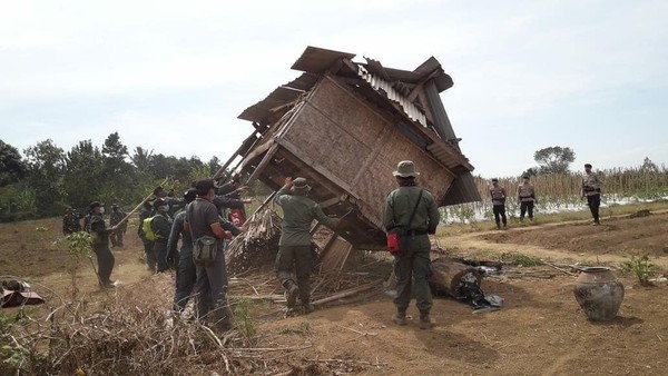 Eksekusi dimulai. Operasi Simpatik di Hutan Pesugulan, Balai TN Gunung Rinjani bersama para pihak berwenang melakukan perobohan gubuk dan pembersihan kawasan hutan dari tanaman non kehutanan (BTNGR/Instagram) Eksekusi dimulai. Operasi Simpatik di Hutan Pesugulan, Balai TN Gunung Rinjani bersama para pihak berwenang melakukan perobohan gubuk dan pembersihan kawasan hutan dari tanaman non kehutanan (BTNGR/Instagram)