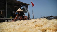 Rumput laut jadi salah satu komoditi andalan dari Pulau Panggang. Pasalnya tak sedikit warga di pulau itu yang menggantungkan hidup dengan menjadi nelayan rumput laut.