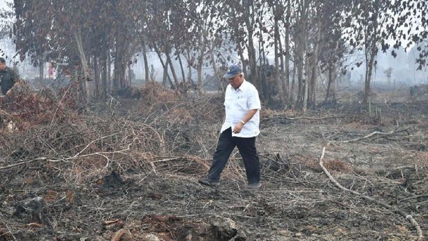 Presiden Joko Widodo meninjau lokasi karhutla di Desa Merbau, Kecamatan Bunut, Kabupaten Pelalawan, Kota Pekanbaru, Selasa, (17/9/2019)  (BPMI Setpres/Laily Rachev)