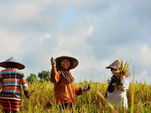 Senyum bahagia petani