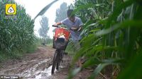 Kisah Bocah 11 Tahun Jual Sayur Sebelum Sekolah untuk Biaya Pengobatan Adik