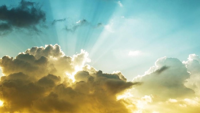 Jesus Light