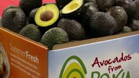 Wow! Guacamole Seberat 4 Ton Ini Pecahkan Rekor Dunia