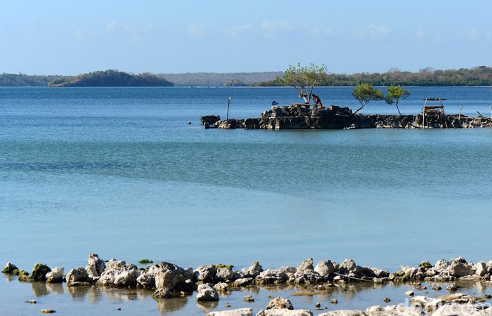 Tahu Nggak Laut Mati Juga Ada Di Indonesia Lho