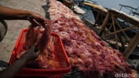 Meski sempat meredup, upaya untuk mengangkat kembali bisnis rumput laut di Kepulauan Seribu, khususnya Pulau Panggang, terus dilakukan.