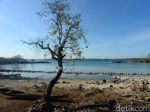 Tahu Nggak, Laut Mati Juga Ada di Indonesia Lho