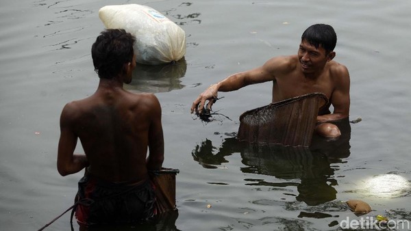 Mengais Rezeki dari Mahluk Kecil di Sungai Kotor Jakarta