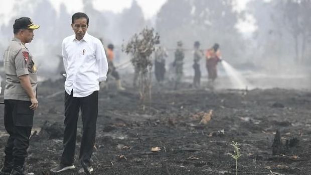 Derita Warga Riau: Kemarau Hirup Asap Kebakaran Hutan, Musim Hujan Kebanjiran