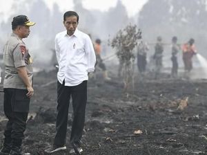 Karhutla Indonesia: Berimbas ke Tetangga, Disorot Media Asing