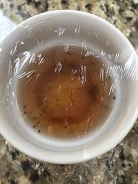 Pakai Cara Mudah Ini Untuk Basmi Lalat Buah Agar Buah Tetap Segar