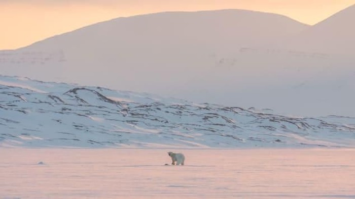 North Pole Igloos Hotel