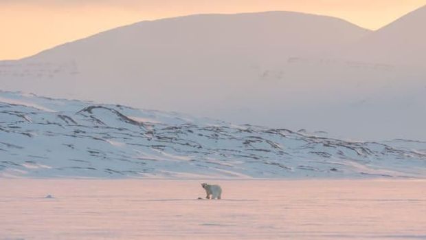 Langka! Cuma 1 Bulan, Nikmati Aurora Kutub Utara di Igloo