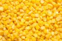 Tak Usah Lagi Dipercaya, 5 Mitos Jagung Manis Ini Keliru