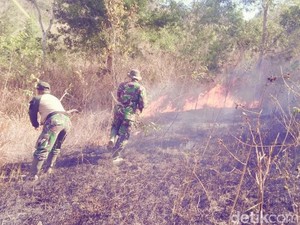 Hutan 2,5 Hektare di Gunung Orak-arik Trenggalek Terbakar