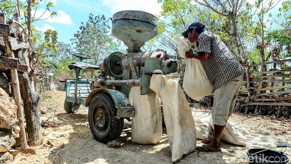 Unik! Ada Mesin Giling Padi Keliling di Pulau Rote