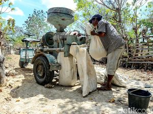 Unik! Ada Mesin Giling Padi Keliling di Pulau Rote