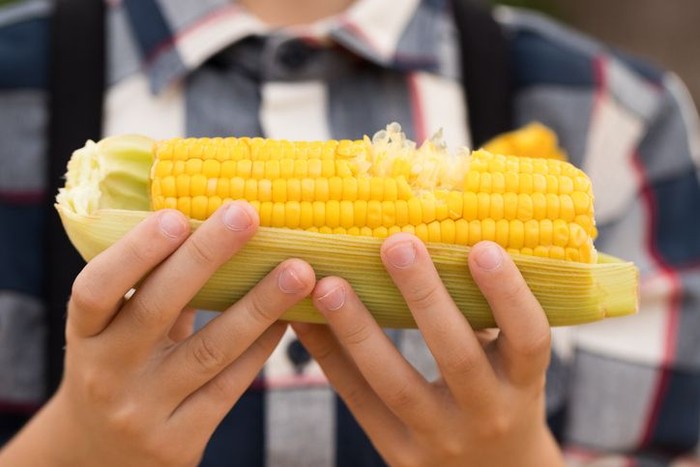 Foto: iStock Foto: iStock