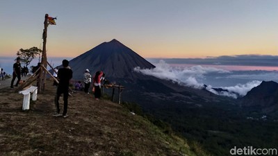 Foto: Bukit Wolobobo yang Viral di Medsos