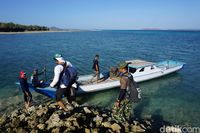 Bersiap menuju Pulau Ndana (Afif Farhan/detikcom)
