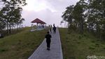 Foto: Bukit Wolobobo yang Viral di Medsos
