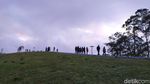 Foto: Bukit Wolobobo yang Viral di Medsos