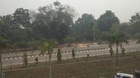 Kabut asap pekat di Pelalawan pukul 11.00 WIB