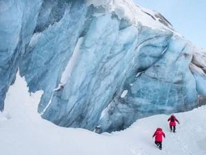 Kutub Utara Lagi Hot-hotnya, Suhunya 38 Derajat Celcius, Pecahkan Rekor!