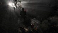 Bara api terlihat di lahan yang terbakar di daerah Sebangau, Palangka Raya, Kalimantan Tengah, Selasa (17/9/2019). ANTARA FOTO/Hafidz Mubarak A.