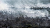 Kebakaran hutan di Kahayan Hilir terlihat dari ketinggi pada 18 September kemarin. AP Photo/Fauzy Chaniago.