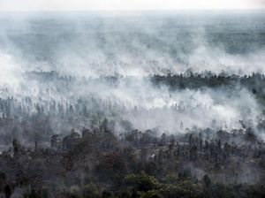 Kemenhub Imbau Maskapai Waspadai Kabut Asap Karhutla