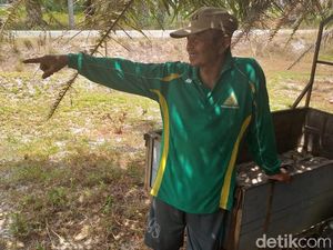 Kisah Ngeri Transmigran di Ibu Kota Baru RI yang Kena Malaria