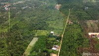 Sedangkan di Penajam Paser Utara, lahan untuk ibu kota baru terletak di Kecamatan Sepaku.