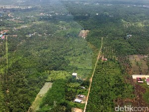 Mengintip Konsep Transportasi di Ibu Kota Baru