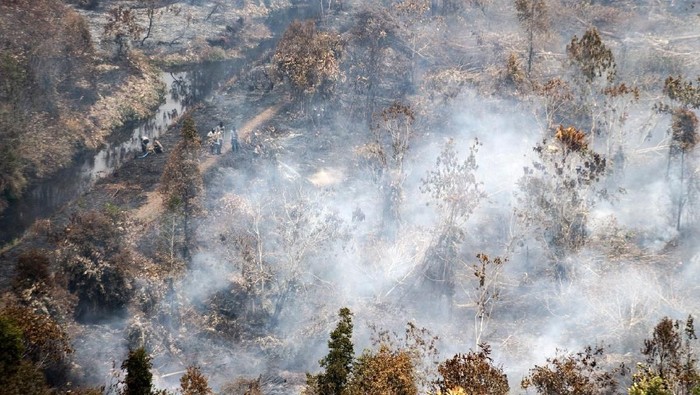 Kebakaran hutan di Kalimantan Tengah terus membara dan menimbulkan kabut asap. Begini suasananya saat api melahap hutan Indonesia.