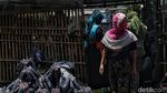 Akhirnya, Pabrik Arang Penyebab Polusi di Cilincing Dibongkar