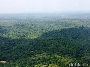 Jaminan Pemerintah soal Nasib Warga dan Hutan Kaltim Bila Ibu Kota Pindah
