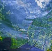 Kebakaran Hutan Kalimantan Dipotret Satelit NASA, Miris Banget!