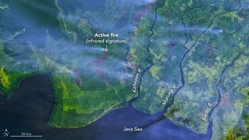 NASA juga menampilkan foto dari Operational Land Imager (OLI) pada satelit Landsat 8. Tampak kebakaran hutan di perkebunan sawit (dok NASA)