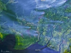 Foto Kebakaran Hutan Kalimantan dari Satelit NASA