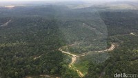 Perjalanan menuju Samboja mayoritas menyusuri hutan dan kebun sawit.