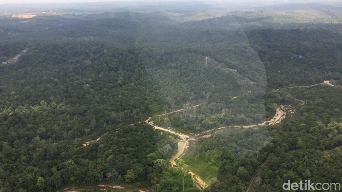 Menhub Budi Karya Sumadi meninjau lokasi calon ibu kota baru di Samboja, Kabupaten Kutai Kartanegara dengan menggunakan helikopter.