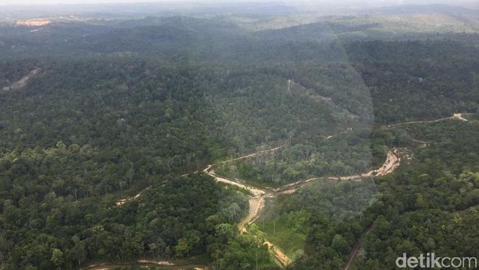 Pakai Heli, Menhub Terbang di Atas Lahan Ibu Kota Baru Menhub Budi Karya Sumadi meninjau lokasi calon ibu kota baru di Samboja, Kabupaten Kutai Kartanegara dengan menggunakan helikopter.