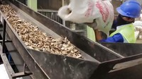 PLTBm menggunakan bahan bakar bambu. Istimewa/PLN.